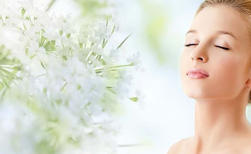 Aliquam dui ligula imper